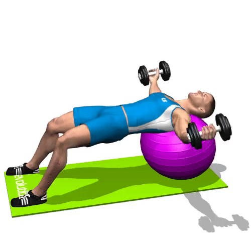 Dumbbell Fly on STABILITY BALL