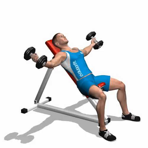 How to perform Incline Dumbbell Flyes