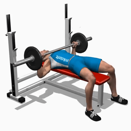 Perform Barbell Bench Press