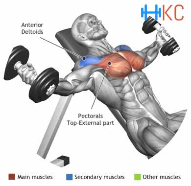 incline-dumbbell-flyes