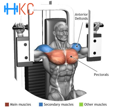 How to perform pectoral machine