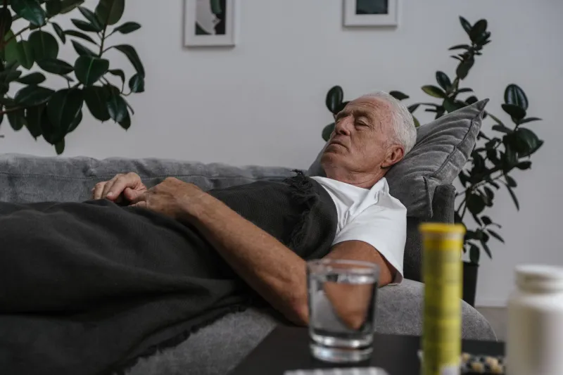 Your Body Absorbs Nutrients on a Clock — And Your Sleep Is Throwing It Off