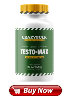 crazy bulk testo max