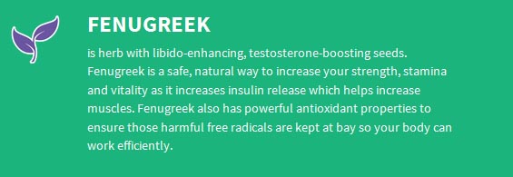 testogen-Fenugreek