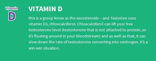 testogen-Vitamin-D