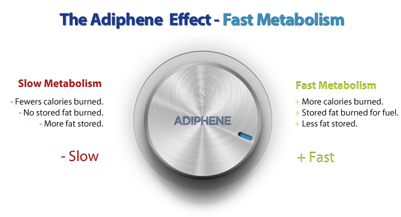 Adiphene, Adiphene Reviews, Adiphene Review, Where to buy Adiphene, Adiphene Results, adiphene vs phen375, adiphene side effects