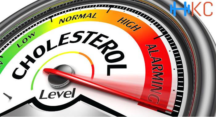 Balances Cholesterol