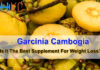 Garcinia Cambogia