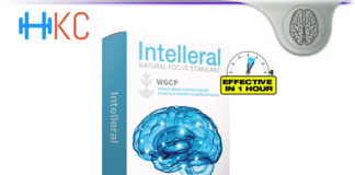 Intelleral Brain Review