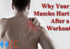 Why Your Muscles Hurt After a Workout