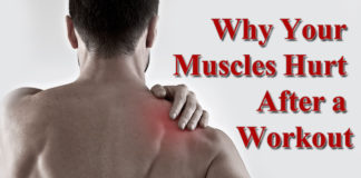 Why Your Muscles Hurt After a Workout