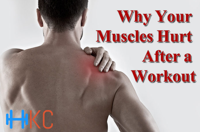 Why Your Muscles Hurt After a Workout