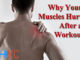 Why Your Muscles Hurt After a Workout