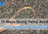 11 Ways Using Hemp Seed Oil