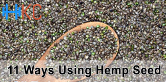 11 Ways Using Hemp Seed Oil