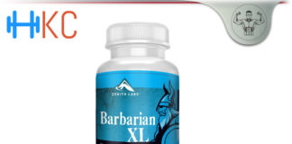 Barbarian XL