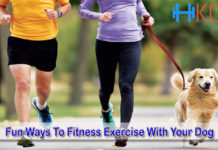 Fun Ways To Fitness Exercise With Your Dog