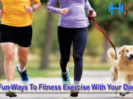 Fun Ways To Fitness Exercise With Your Dog