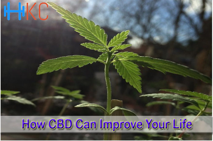 How CBD Can Improve Your Life