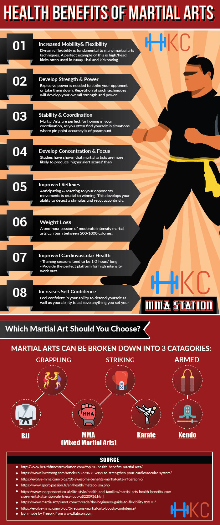 health benefits of- martial arts final