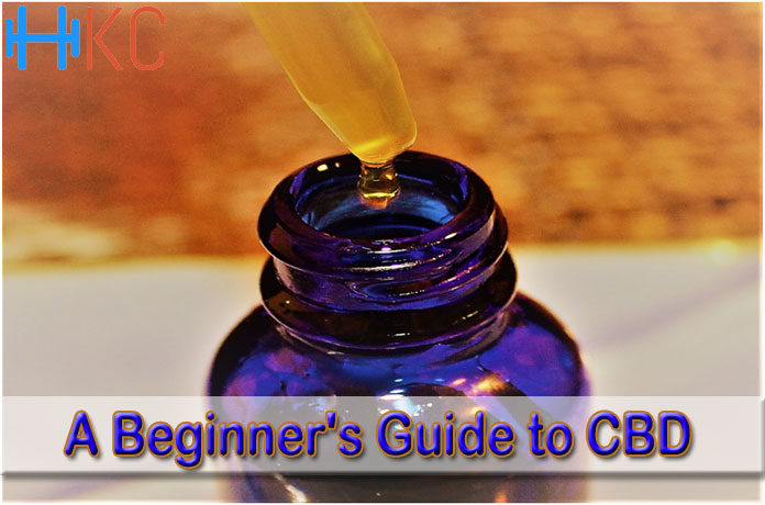 A Beginner's Guide to CBD