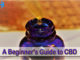 A Beginner’s Guide to CBD A Beginner's Guide to CBD