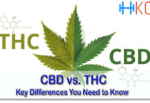 CBD vs. THC