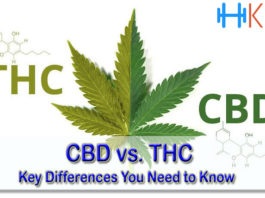 CBD vs. THC