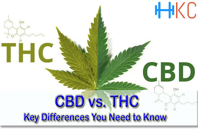 CBD vs. THC