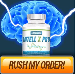 Intel X Pro buy now