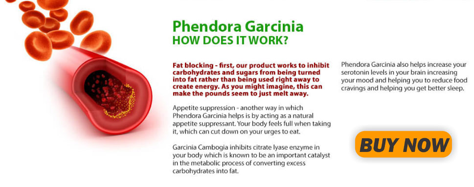 Phendora Garcinia work