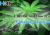 CBD Oil Changing Medicine