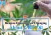 Changing About CBD Oil