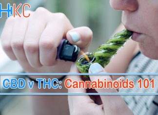 CBD v THC: Cannabinoids 101 CBD v THC