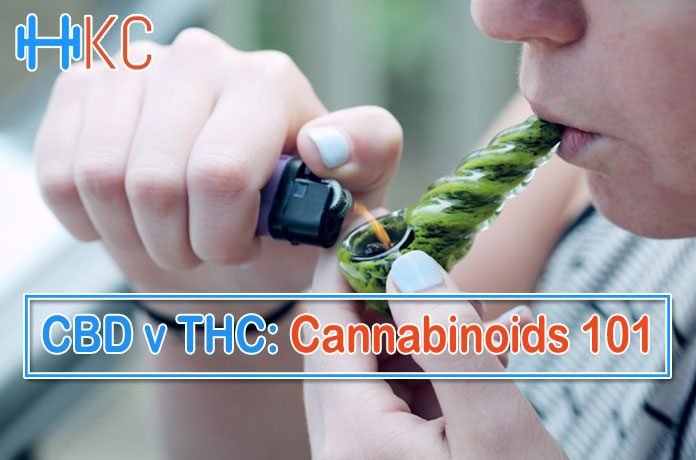 CBD v THC