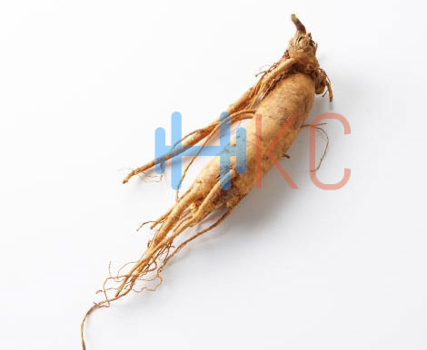 Ginseng