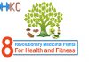 Revolutionary Medicinal Plants for Health and Fitness