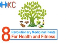 Revolutionary Medicinal Plants for Health and Fitness