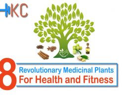 Revolutionary Medicinal Plants for Health and Fitness