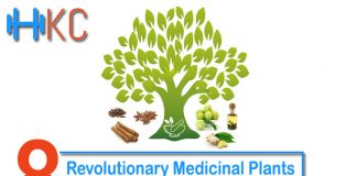 Revolutionary Medicinal Plants for Health and Fitness