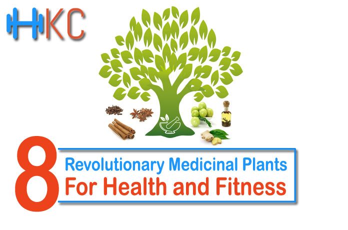 Revolutionary Medicinal Plants for Health and Fitness