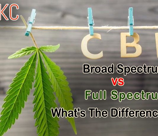 CBD Broad Spectrum vs Full Spectrum