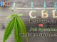 CBD Broad Spectrum vs Full Spectrum: What’s The Difference? CBD Broad Spectrum vs Full Spectrum