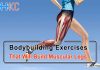 Muscular Legs Exercises