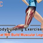 Muscular Legs Exercises