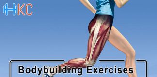 Muscular Legs Exercises