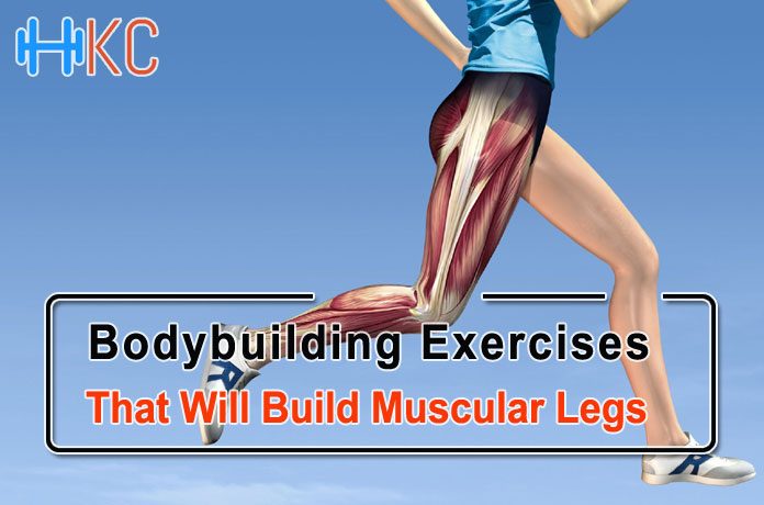 Muscular Legs Exercises