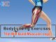 Muscular Legs Exercises