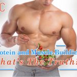 Protein and Muscle Building