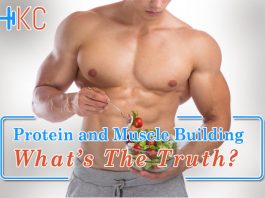 Protein and Muscle Building